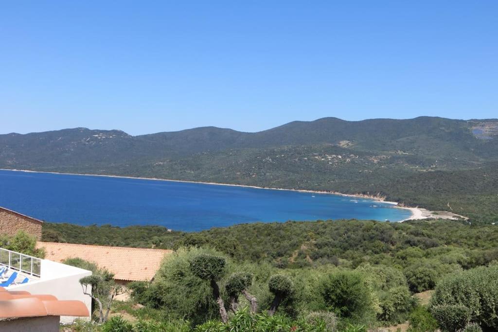Chez Adrien 108-Appartement Magnifique Vue Mer Piscine Chauffee Serra-di-Ferro  Zewnętrze zdjęcie