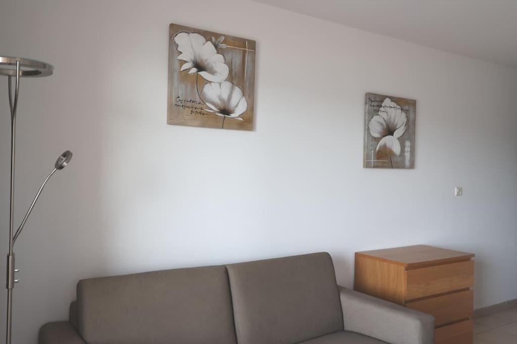 Chez Adrien 108-Appartement Magnifique Vue Mer Piscine Chauffee Serra-di-Ferro  Zewnętrze zdjęcie