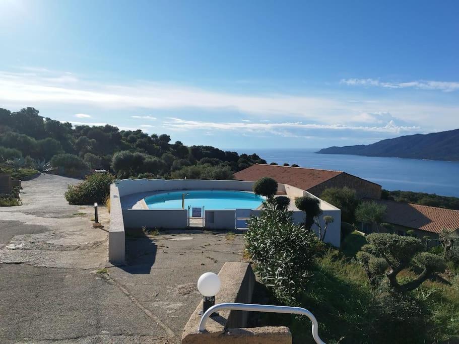 Chez Adrien 108-Appartement Magnifique Vue Mer Piscine Chauffee Serra-di-Ferro  Zewnętrze zdjęcie